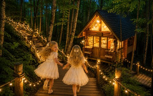 Illumination Tour: Furano Elf Terrace, Biei Blue Pond & Shirahige Falls Day Trip