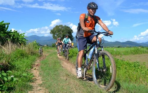 Excursion à vélo d'une demi-journée en petit groupe dans la vallée de Mae Ping à Chiang Mai