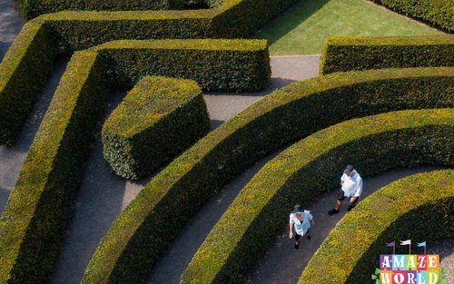 Amaze World Ticket - Sunshine Coast 