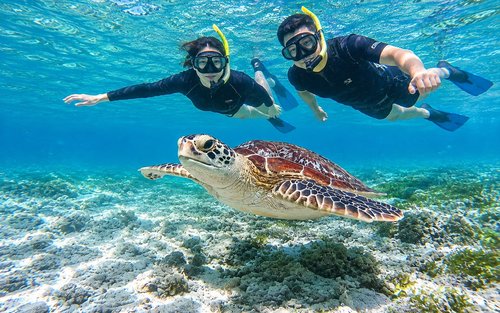 Yksityinen snorklausretki Gili Trawanganille, Gili Menolle ja Gili Airille 