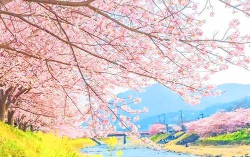 Top 10 Izu Day trips 2026 - Klook United States