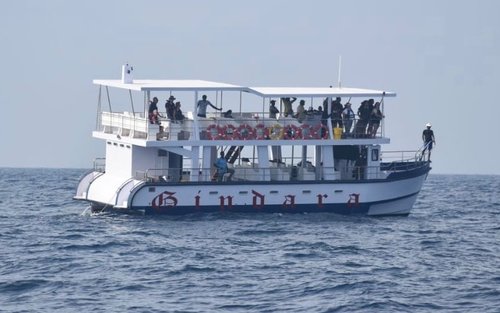 Mirissa: Chuyến du ngoạn ngắm cá voi & cá heo cùng thủy thủ đoàn của Geeth
