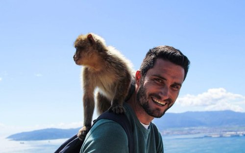 Tour cả ngày Gibraltar từ Malaga