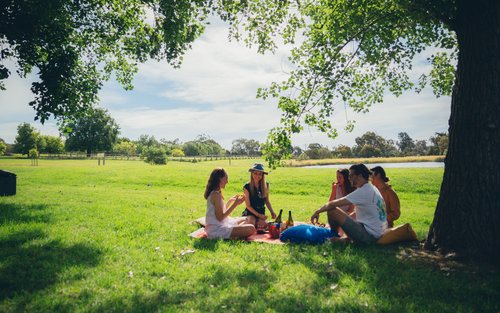 Mornington Peninsula Shoreham Road Half-Day Tour
