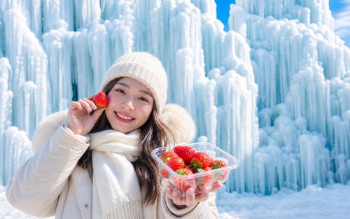 Cheongyang Ice Festival & Nami & Eobi Ice Valley & Strawberry Tour