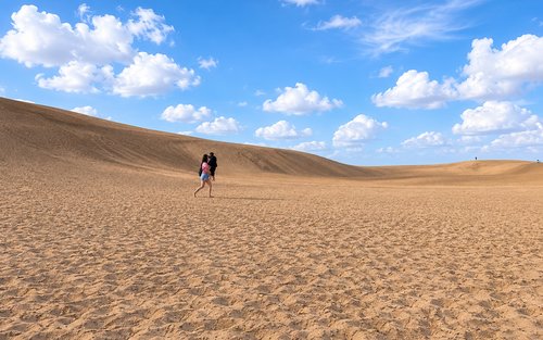 Tour de día completo por las dunas de arena de Tottori y la fábrica de manga de Gosho Aoyama