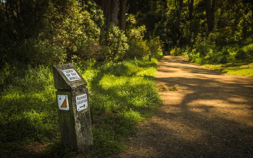 Lord Of The Rings with Weta Workshop Half Day Tour