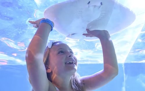 Eintritt für SeaQuest in Las Vegas