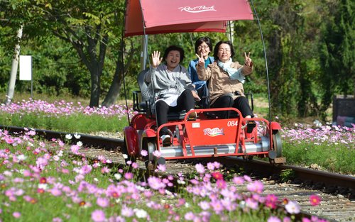 Gangchon Rail Bike Ticket(Gimyujeong Station)