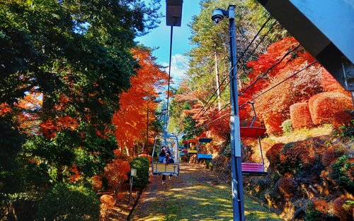 Lawatan Gunung & Kolam Air Panas Satu hari di mount takao