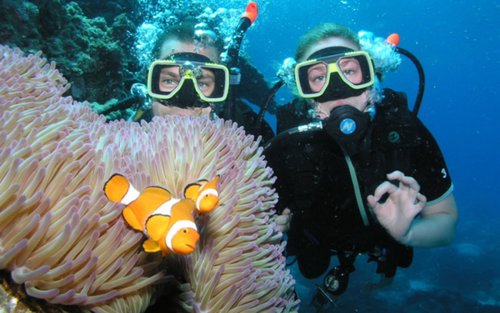 Trip Bot Menyelam Skuba Dengan Makan Tengah Hari Untuk Pemula – Marsa Alam
