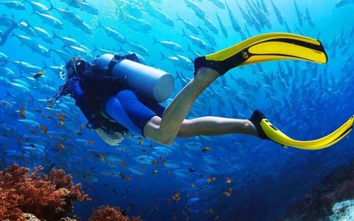 Kursus Menyelam Padi Air Terbuka 3 Hari - Marsa Alam