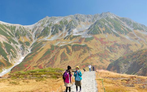 Departing from Tokyo: Tateyama Kurobe Alpine Route Snow Valley, Kamikochi, Kawaguchiko Oishi Park, Hida Takayama, Snow Country + Sacred Mountain Classic Three-Day Tour