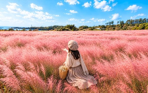 Best Jeju's Spots: 3 Route Join-in Day Tour (East / South / West)