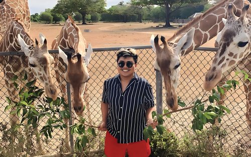 Coron Calauit Safari met Black Island