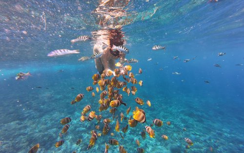 Expérience de plongée en apnée à Nusa Penida