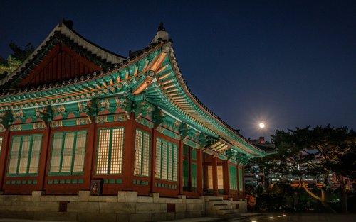 서울 창경궁 야경 가이드 투어