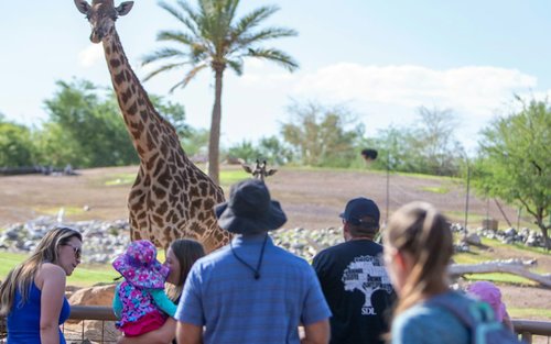 Phoenix Zoo Ticket in Phoenix
