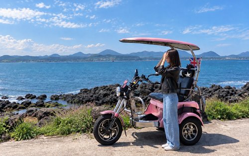 Buong-Araw na Paglilibot sa Jeju Udo na may Pamimitas ng Tangerine at Pagsundo sa Hotel
