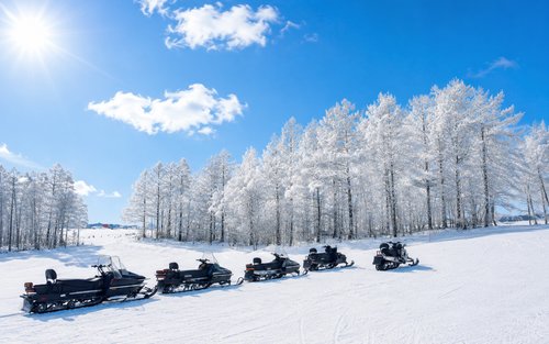 Sapporo Full-Day Winter Snowland & Ningle Terrace Experience with Hot Corn Soup