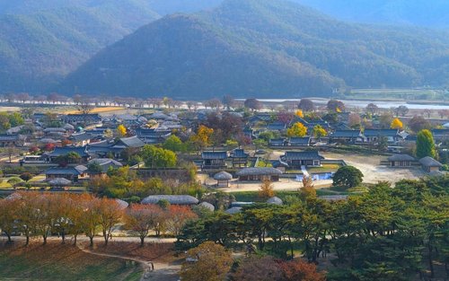 Andong e Daegu: Tour Privado de Cultura e Gastronomia de 2 Dias