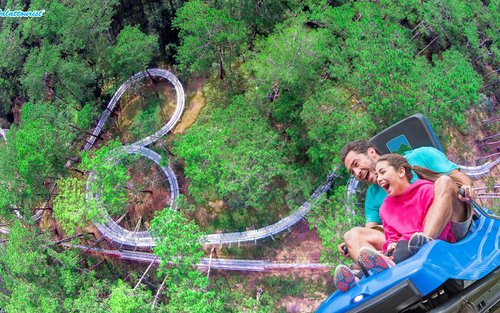Datanla New Alpine Coaster Experience in Da Lat