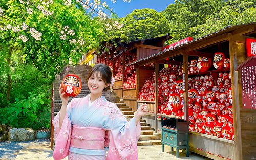 【Osaka & Kyoto Scenic Spots One-Day Tour】Katsuoji Temple Prayer & Kinkaku-ji Temple Pilgrimage & Arashiyama Togetsukyo Bridge & Kimono Forest & Bamboo Grove Path & Nonomiya Shrine (Departing from Osaka or Kyoto)