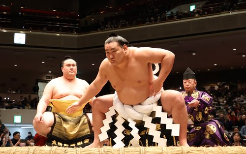 Osaka Grand Sumo Tournament Viewing Tour with Tickets