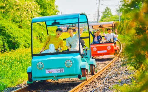 Visite privée d'Alpaga+LEGOLAND+Île de Nami+RailBike+Calme du Matin