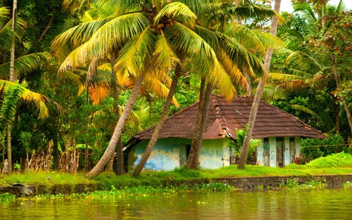 Cochin: Munnar Hill Station Tea Garden Overnight Tour