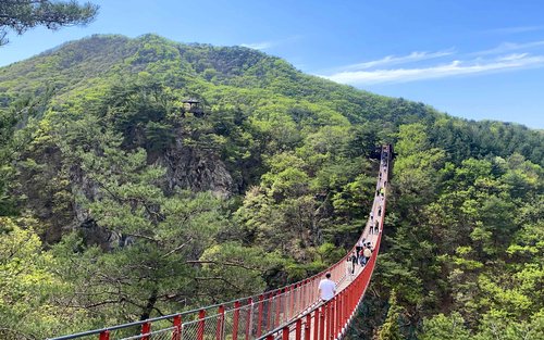 2-дневный тур по главным достопримечательностям Кореи (ДМЗ + тур по Сеулу)