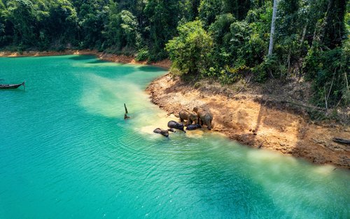 Khao Sok Elephant Sanctuary & Waterfall Bamboo Rafting from Krabi