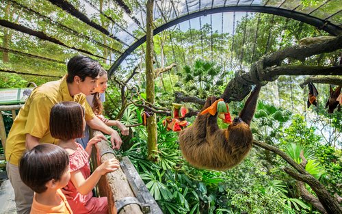 Singapore Zoo Ticket | Mandai Wildlife Reserve, Singapore