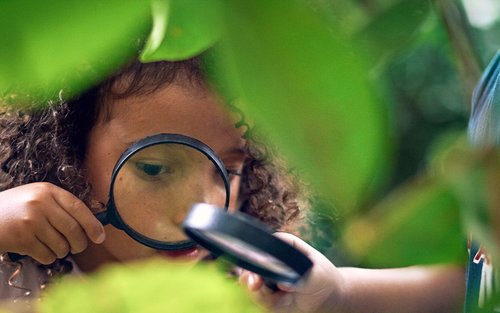 Junior Naturalists Experience at Shangri-La Rasa Ria, Sabah