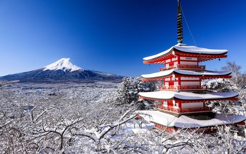 Mt. Fuji 5th Station, Lake Kawaguchi, & Hikawa Street Private Tour
