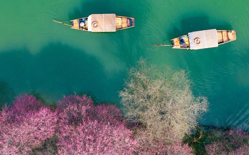 One-day tour of Hangzhou Xixi National Wetland Park + Longjing Village Tea Culture + Nine Creeks and Misty Trees