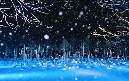 Flower Land Kamifurano：旅行前に知っておきたいおすすめ情報