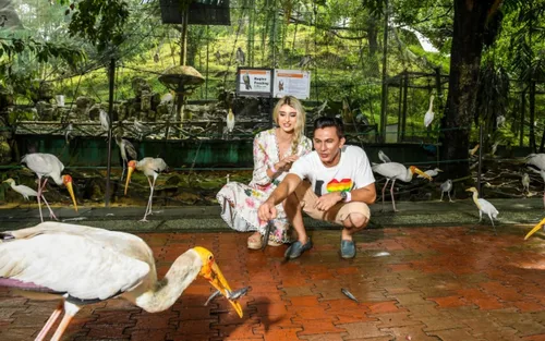 Kuala Lumpur Aquaria KLCC, Bird & Butterfly Park Tour