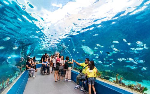 Cebu Ocean Park Ticket