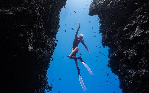 Freediving Tour at Napaling Reef and the Sardines