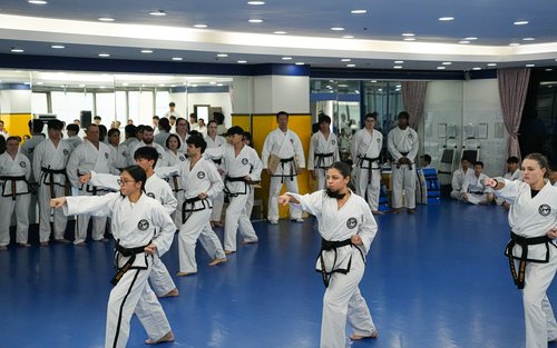 고양시 일산 태권도 클래스 (서울 근교)