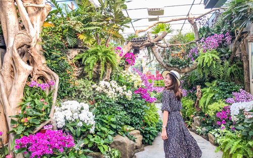 Miaoli | Fazenda de Lazer Huolu | Bilhete