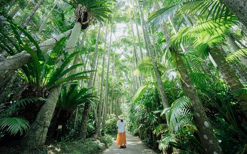 Ticket für den südöstlichen Botanischen Garten in Okinawa