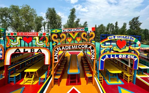 Tour en barco para grupos pequeños de 2 horas en Xochimilco con ajolotes