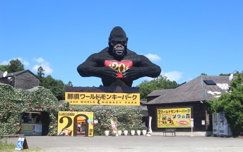 Vstupenka do Nasu World Monkey Park v Točigi (Nasu)