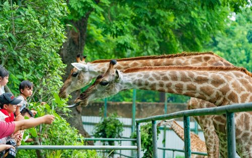 Saigon Zoo & Botanical Gardens Ticket in Ho Chi Minh City