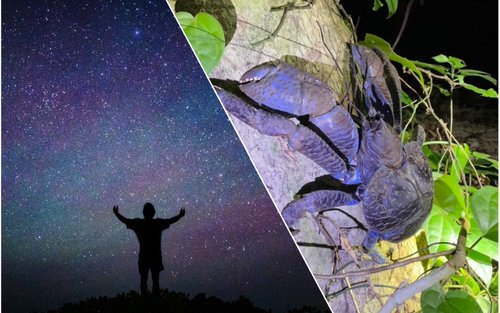 Miyako Island :Exploring the jungle under the stars and at night