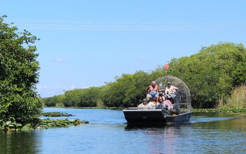Miami Everglades Airboat Tour with Park Entry & Airboat Ride