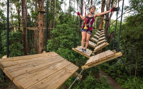 Tiket TreeTop Challenge di Sunshine Coast