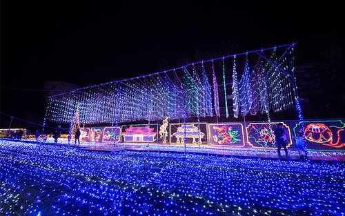 沖縄こどもの国　入場チケット